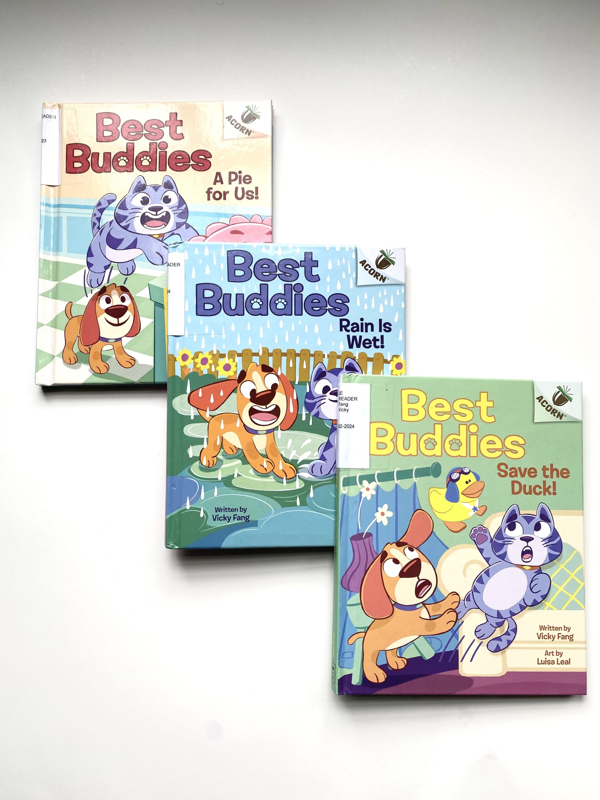20250206_BESTBUDDIES1