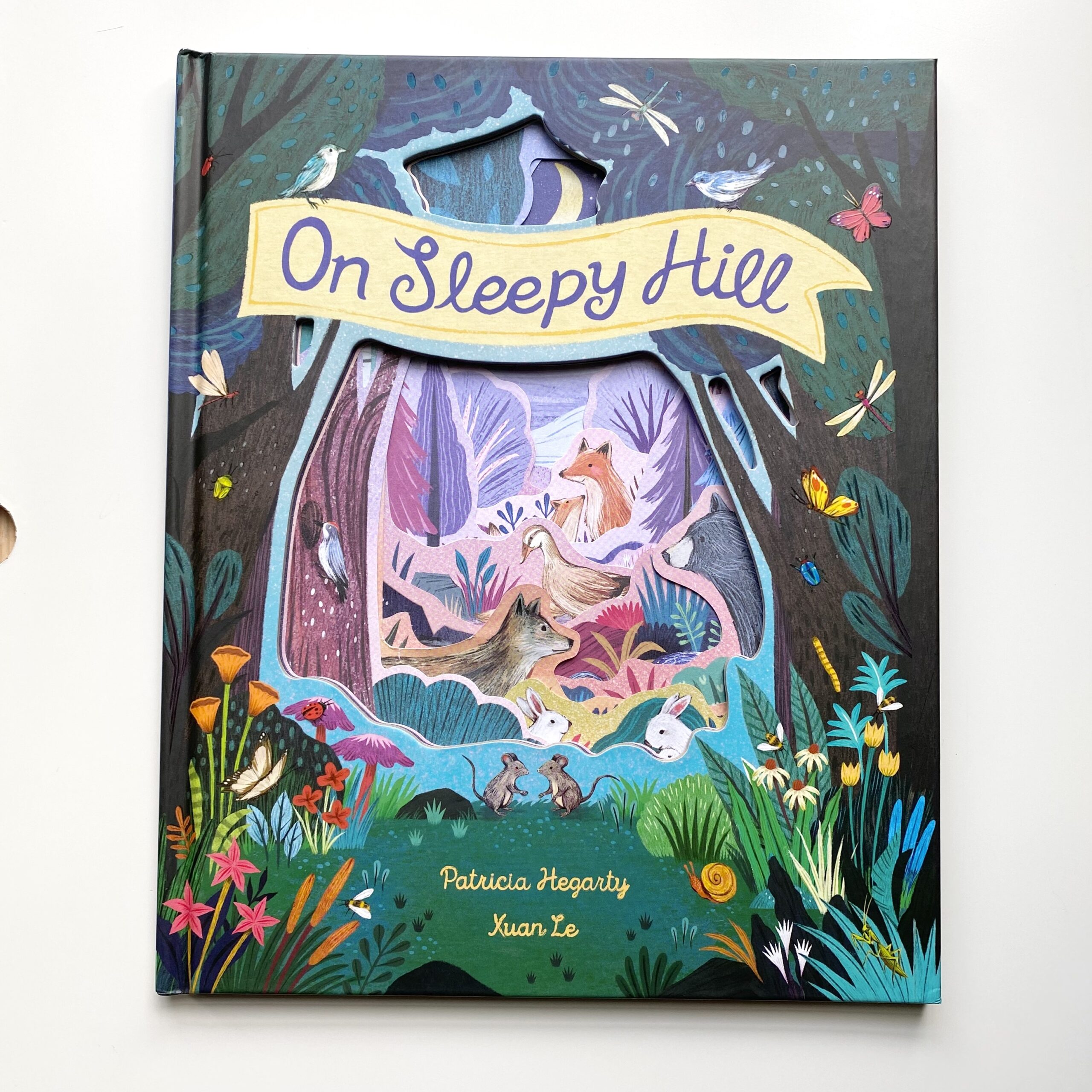 On Sleepy Hill Book by Patricia Hegarty and Xuan Le.